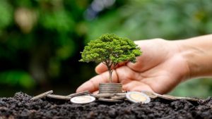 Lire la suite à propos de l’article Linxea Spirit 2 : frais de gestion, versement et arbitrage
